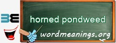 WordMeaning blackboard for horned pondweed